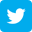 Twitter Share Icon